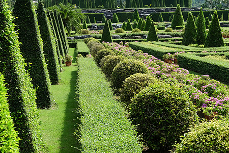 英国正规花园顶级礼仪风格场景前院树篱小径风景石径后院园林植物园图片