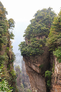 张家吉国家公园天子山自然保护区和雾 中国 中国天气公园旅游化身爬坡柱子森林天空地标旅行图片