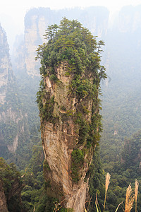 Changjiajie国家公园(天津山自然保护区)和雾的哈利路亚山 中国图片