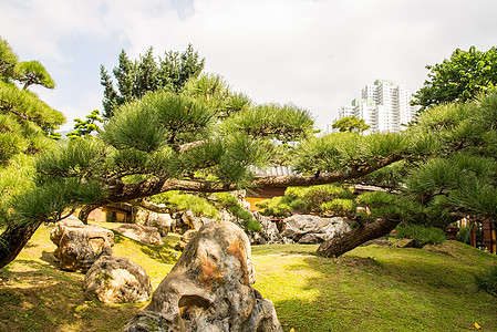 C 香港南里安花园的绝对完美之馆场景地标文化市中心旅行寺庙花园建筑公园宝塔图片