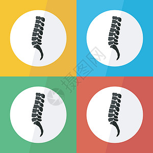不同颜色背景 侧视图 上的脊柱图标 平面设计 用于脊柱疾病 脊椎病 脊椎滑脱 脊柱侧凸 脊椎溶解 椎间盘突出 骨折等图片