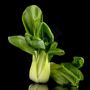 黑黑色的帕克肖伊营养芥菜叶子饮食沙拉厨房美食植物蔬菜烹饪图片