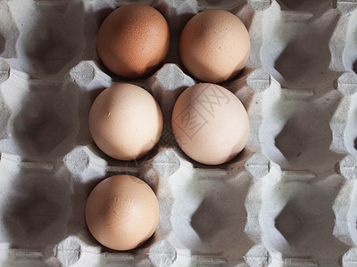 5个鸡蛋的特制鸡蛋盘生产营养母鸡宏观托盘动物早餐产品团体食物图片