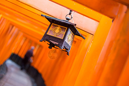 日本京都的神社旅行旅游历史信仰小路人行道地标遗产文化街道图片