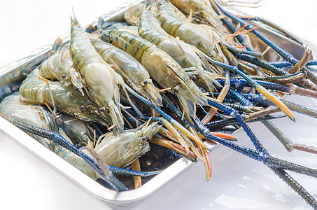 原始河虾食物美食淡水白色海鲜背景图片