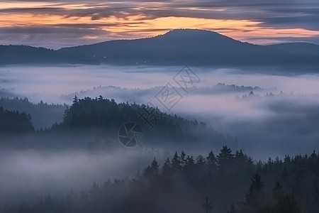 波希米亚瑞士的雾亮风景季节薄雾天气草地环境日落天空阴霾植物图片