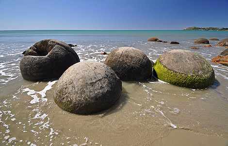 新西兰海景海滩海洋圆形海岸沿海岩石石头潮汐旅游图片