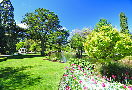 新西兰皇后镇花园绿地风景公园演奏草地郁金香寄宿生植物灌木园艺图片