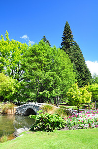 新西兰皇后镇花园植物寄宿生行人生长小路石头风景绿地郁金香天桥图片