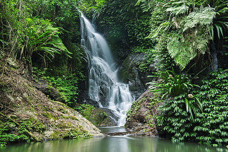美丽的瀑布溪流遗产石头国家公园风景环境旅行热带荒野图片