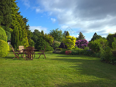 英语花园木头桌子植物家具柚木椅子草地灌木图片