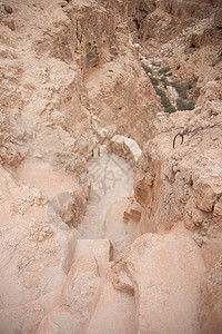 犹太沙漠旅行游客旅游图片