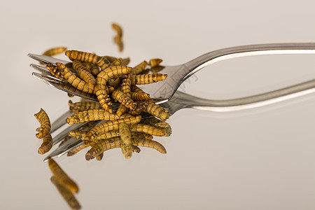 炸飞昆虫 软石烹饪蟑螂漏洞幼虫热带毛虫甲虫动物情调美食图片