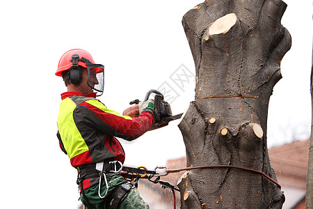 在职林务人员木头森林危险木材业工作活力工具力量环境链锯图片
