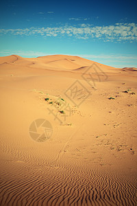 荒漠太阳沙漠寂寞荒野旅行晴天旅游骆驼沙丘图片