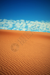 荒漠骆驼沙丘旅行晴天寂寞旅游荒野太阳沙漠背景图片