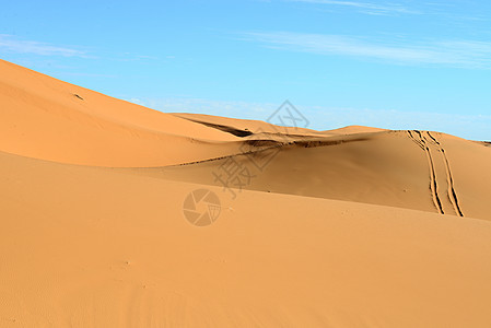 荒漠寂寞骆驼地平线荒野沙漠晴天太阳旅游旅行沙丘图片