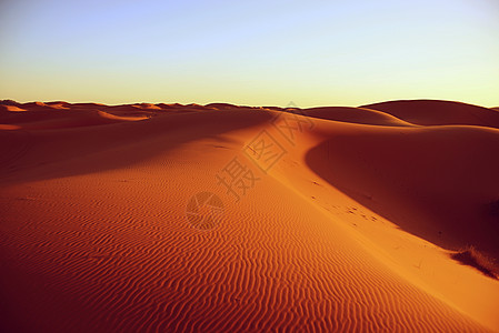 荒漠骆驼旅行太阳沙漠寂寞荒野旅游晴天沙丘背景图片