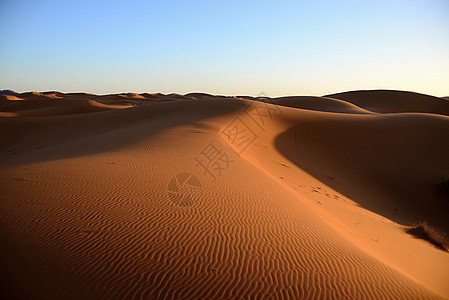 荒漠沙丘旅行沙漠骆驼荒野太阳寂寞晴天旅游地平线图片