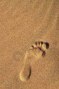 撒哈拉的脚踏足行动脚步小路橙子阳光沙丘脚印孤独沙漠太阳路线图片
