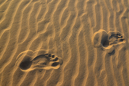 撒哈拉的脚踏足行动橙子小路沙丘太阳路线脚步脚印沙漠阳光风景图片