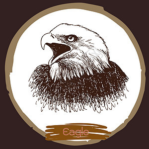 鹰 鹰鸟和鹰鸟的插图攻击猎物信仰绘画吉祥物处理野生动物贴花程序濒危图片