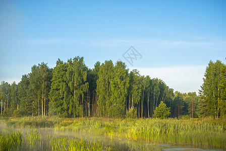 河流环境叶子植物风景季节森林反射天空公园阳光图片