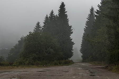 雨天 在巴尔干山的Petrohan通道大雾下图片