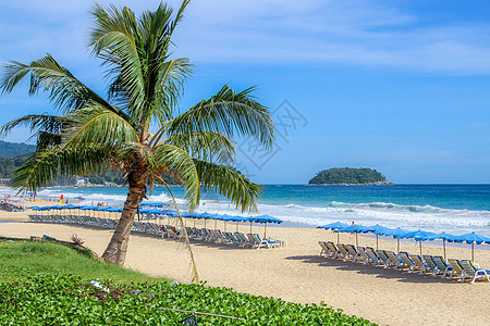 海边海滩上的热带棕榈树闲暇假期天空旅行沙滩旅游海景情调场景游泳图片
