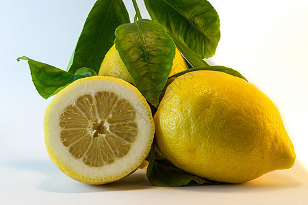 新鲜柠檬树叶黄色食物白色水果绿色叶子图片