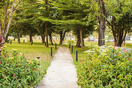泰国Thammasat大学公共公园步行绿色乡村园林车道场地土地叶子石头小路花园图片