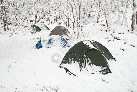 森林中的冬季营地季节冒险远足者大雪顶峰旅行蓝色运动森林远足图片