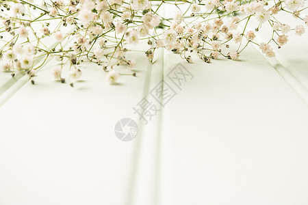 一束吉普西拉花花放在木制桌子上满天星植物生日花束展示风格婚礼墙纸季节木头图片