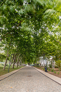 葡萄牙卢尔市主要城市公园 葡萄牙晴天风景小路人行道楼楼运动城市途径绿色图片