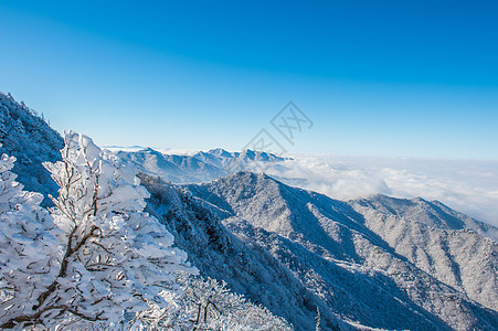 韩国冬季的清晨雾笼罩着Seoraksan山脉薄雾太阳故事晴天海雾天气山脉公园森林国家图片