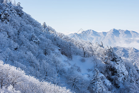 冬天的德宇桑 可丽雅山脉晴天太阳国家风景天空天气公园爬坡旅游图片