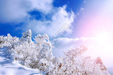 冬雪和清晨雾笼罩着德雨山太阳海雾天气风景公园墙纸旅游天空薄雾爬坡图片