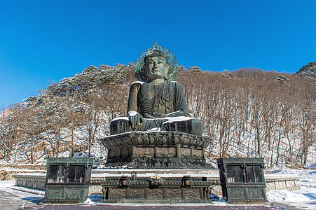 南朝鲜Seoraksan国家公园新兴萨寺庙大佛像寺庙文化地标国家禅意旅行宗教公园雕像佛教徒图片