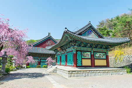 京博千京宫春开樱花 韩国历史地标城市历史性堡垒樱花城堡皇家网关图片