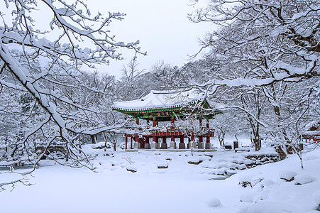 白阳萨寺和下雪 涅詹桑山微风晴天旅行奢华山沟悬崖森林峡谷民众环境图片