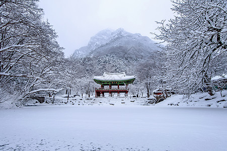 白阳萨寺和下雪 涅詹桑山奢华民众悬崖峡谷森林旅游冒险旅行环境风景图片