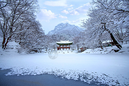 白阳萨寺和下雪 涅詹桑山奢华民众晴天冒险旅游山沟峡谷环境森林风景图片