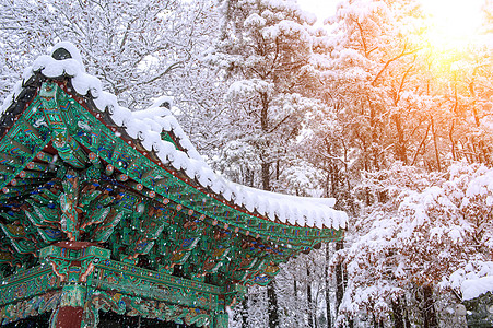 冬季风景与庆博中京的屋顶 南韩首尔降雪季节薄片乡村行动森林娱乐粉末白色冻结晴天图片