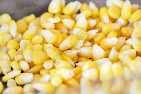 柔软的玉米籽图片