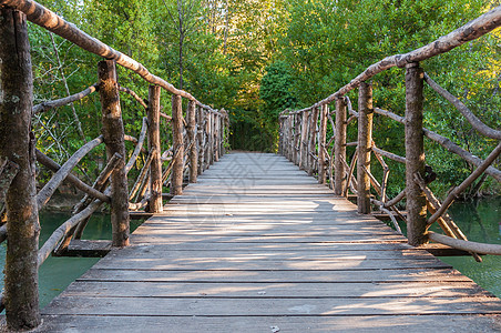 公园中的木环桥植物天桥行人人行道荒野阳光水塘农村花园小路图片