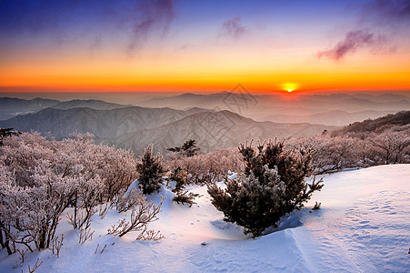 南韩冬雪覆盖的登峰造极山上戏剧性季节森林风景童话天气旅行假期顶峰爬坡图片