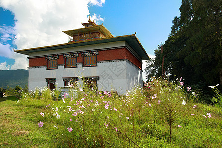 印度寺庙城市旅游阳台绘画旅行建筑工作房子历史历史性高清图片