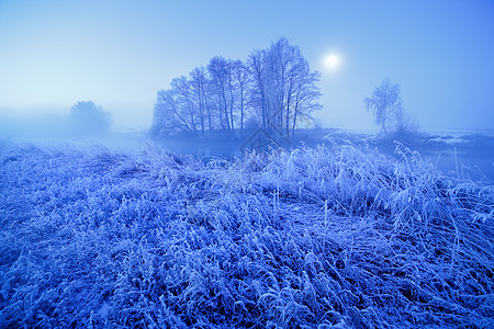 夜空下月光的冬雾夜 在草地上落雪和冻霜背景