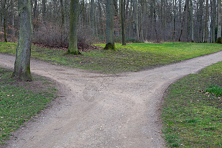 右或左小路踪迹生活树木森林背景图片