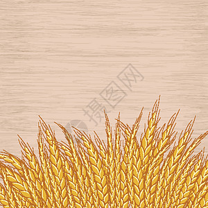 木制背景上的黑麦耳朵 矢量图图片